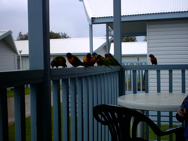 back in my day there was bread for everyone...