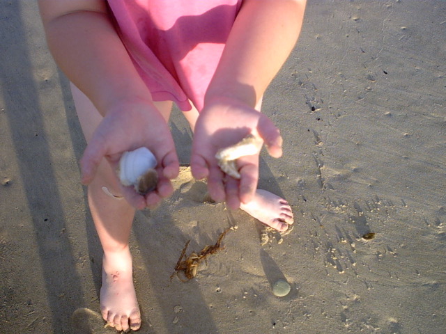 Treasures of the deep