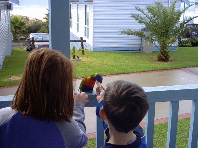 At the beach!  Feeding the birds.
