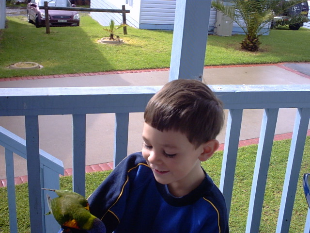 and they are getting pretty bold