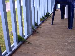 WELL, no more bread huh!