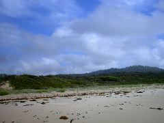 The hills are alive...