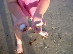 Treasures of the deep