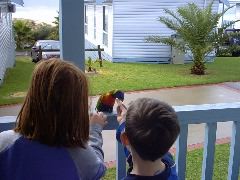 At the beach!  Feeding the birds.