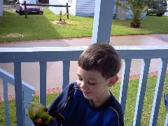 and they are getting pretty bold